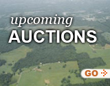 Auctions